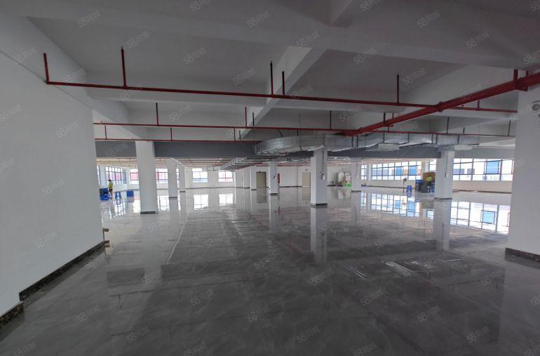 惠州博罗园洲高速附近，原房东全新园区带装修厂房出租，证件齐全