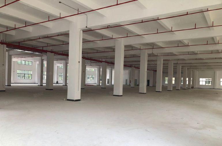 惠州石湾镇铁场原房东独院厂房12500平方出租带红本实际出租