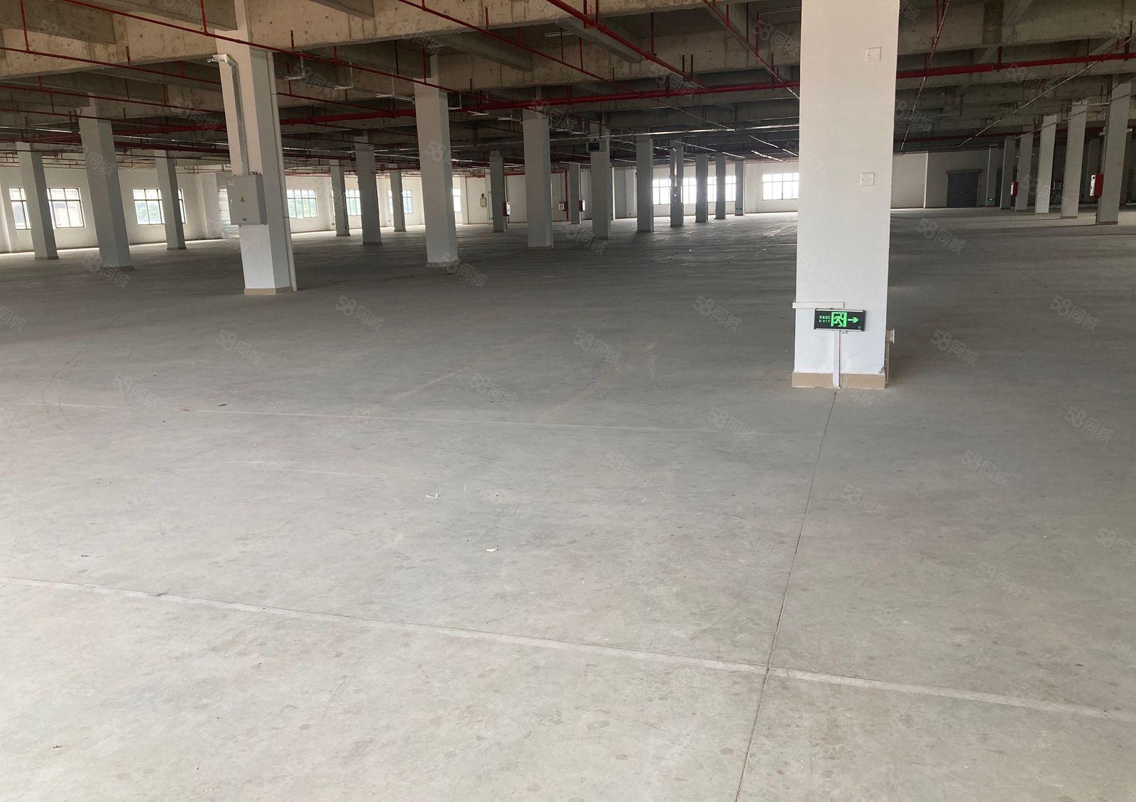 标准厂房出租，可以分租厂房漂亮环境好空地大租金便宜