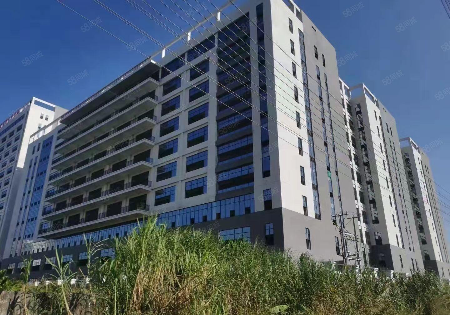 龙溪镇电镀基地旁园区漂亮厂房，1000平方起分租8元起租