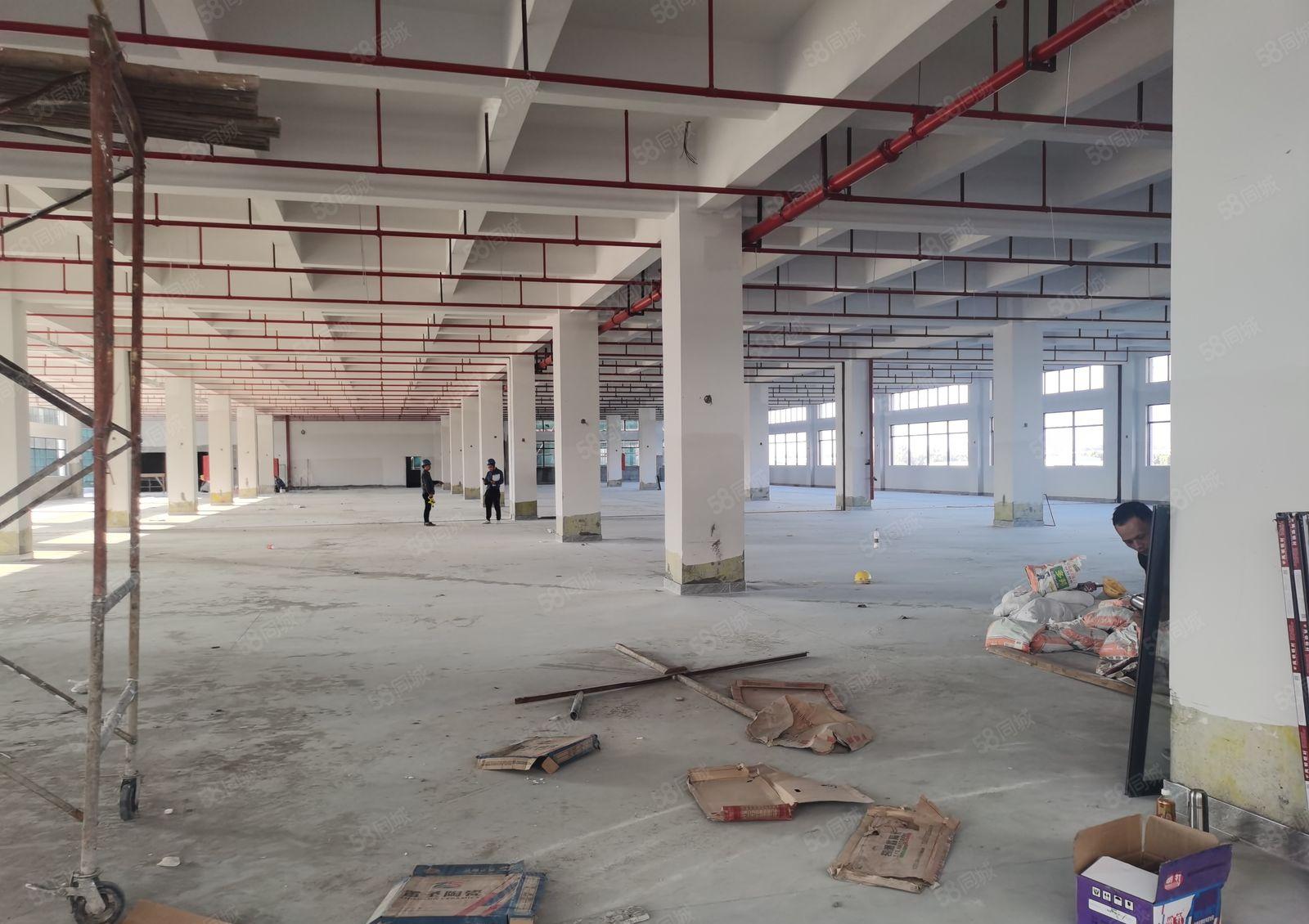 本人厂房，1000方起租带国土证消防证园区空地的好招工形象好