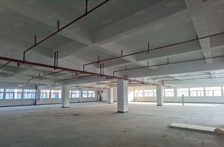 博罗长宁镇花园式厂房钢构宿舍10万平米一楼二楼大小面积可分租