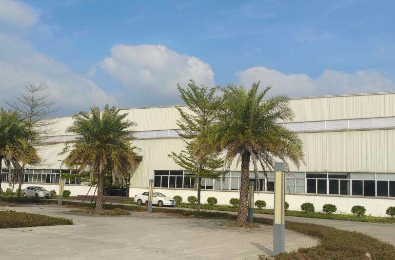 石湾镇原房东独门独院单一层钢构，滴水11米，形象非常好