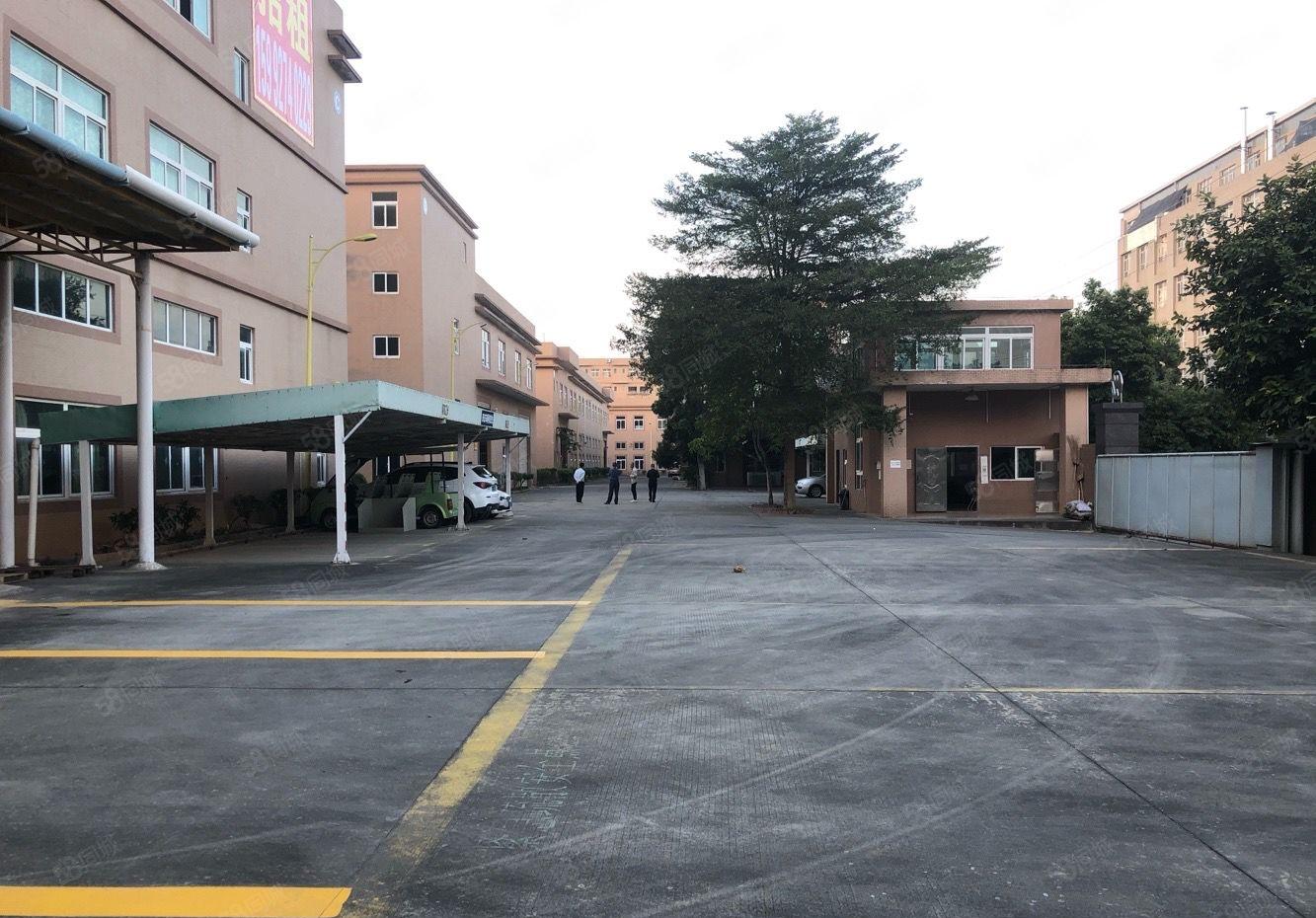 新出带红本大型工业标准厂房出租一楼六米高楼上5米周边配套齐全