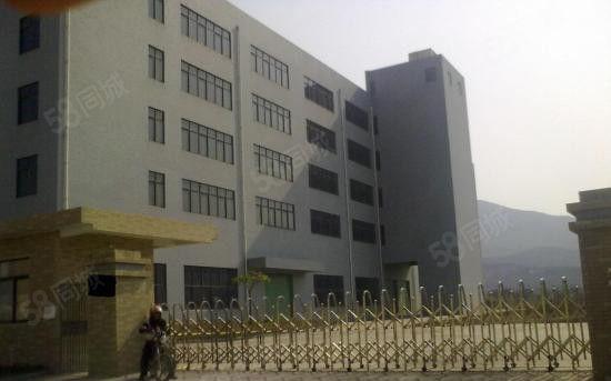 全新红本6万平米厂房招租