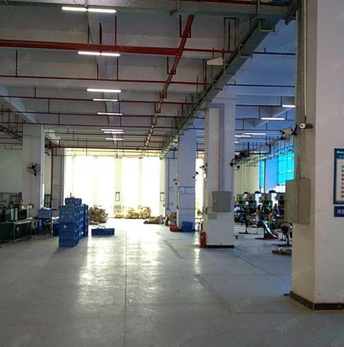 惠州市博罗县龙溪镇小蓬岗现成抽粒塑胶注塑环评厂房10万方招租