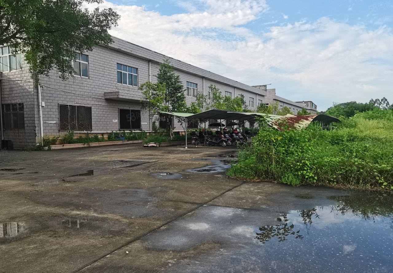 龙溪街道一手房东招租7米高水泥结构厂房4550平方单一层