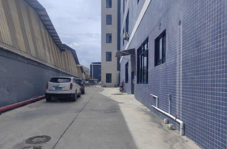 八元全新厂房出租1000平起租 独立园区 有空地