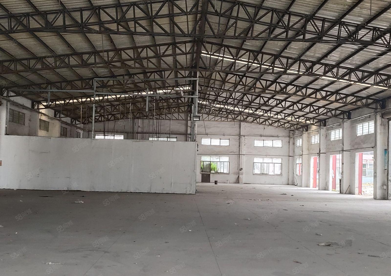 园洲镇低价性价比超高工业园区独院500平方起分空地超大