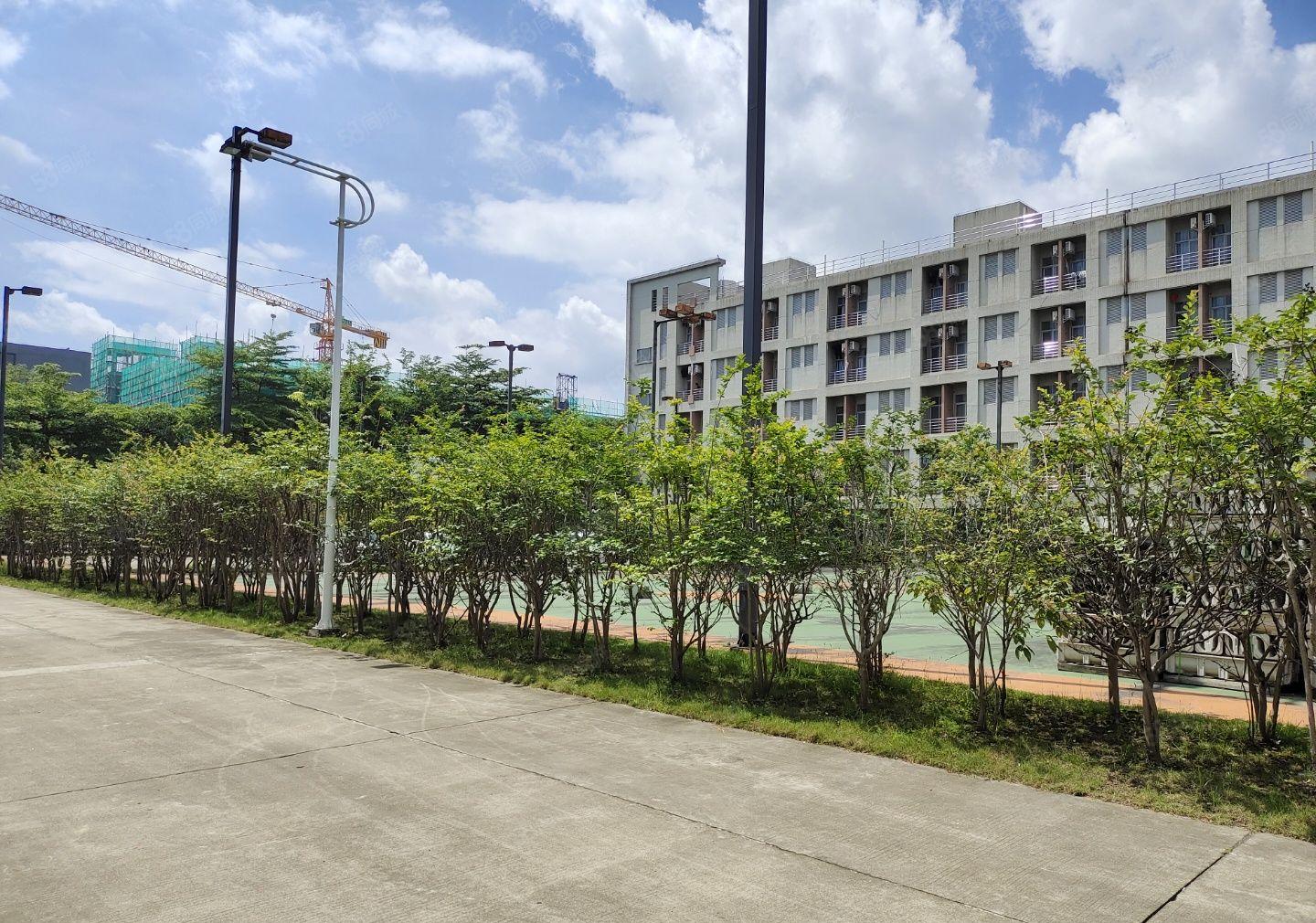 惠州博罗石湾华盛泰科技园全新20万红本厂房房东直租