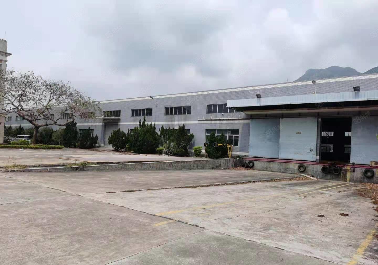 可分租博罗石湾里波水12000独门独院钢构厂房仓库出租大空地