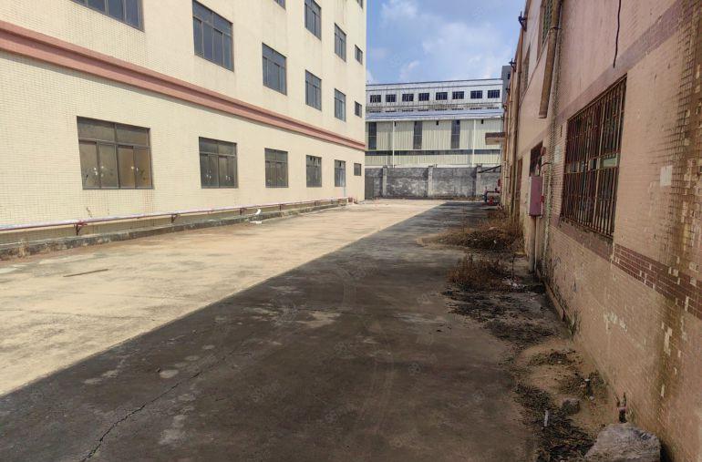 钢结构无公摊 单一层 8米高 带单独大空地厂房出租