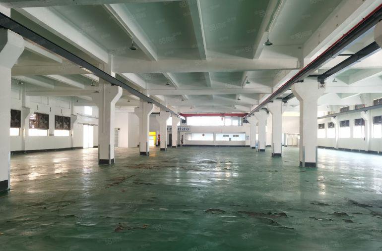 博罗县原房东独院花园式标准厂房低价出租，可分租可办环坪。