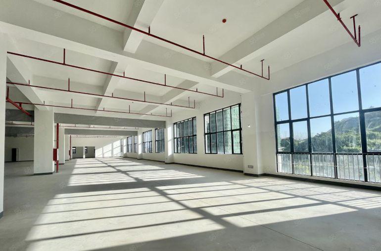 经典独门独院，近高速路口，水电全通好招工，半年免租