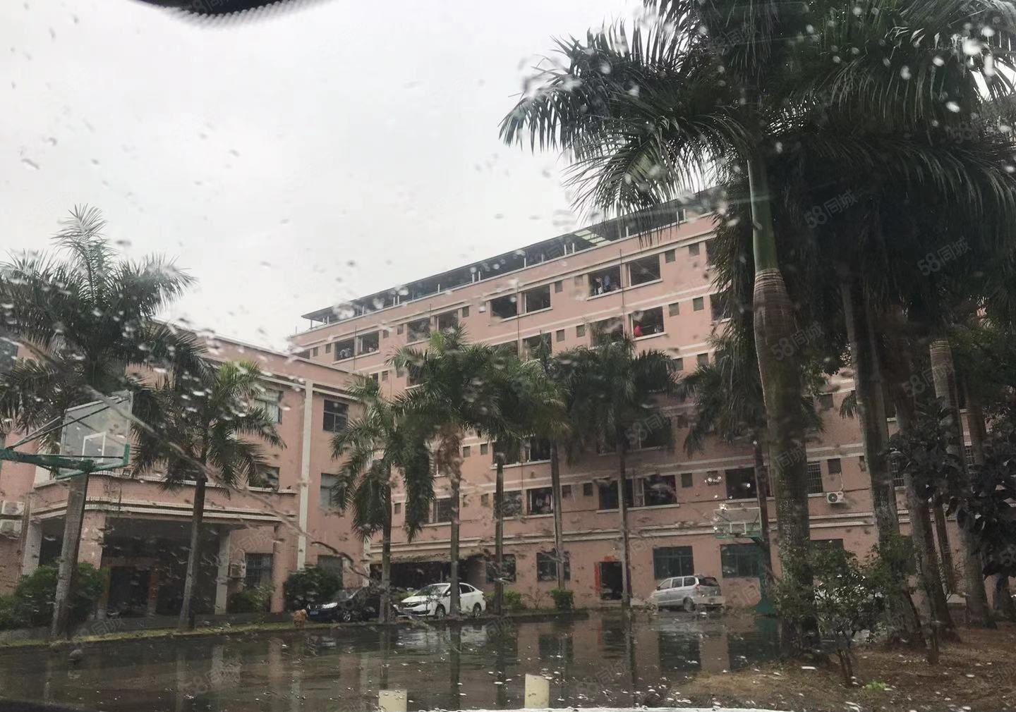 惠州市博罗县龙溪镇独门独院单一层1750仓库厂房出租