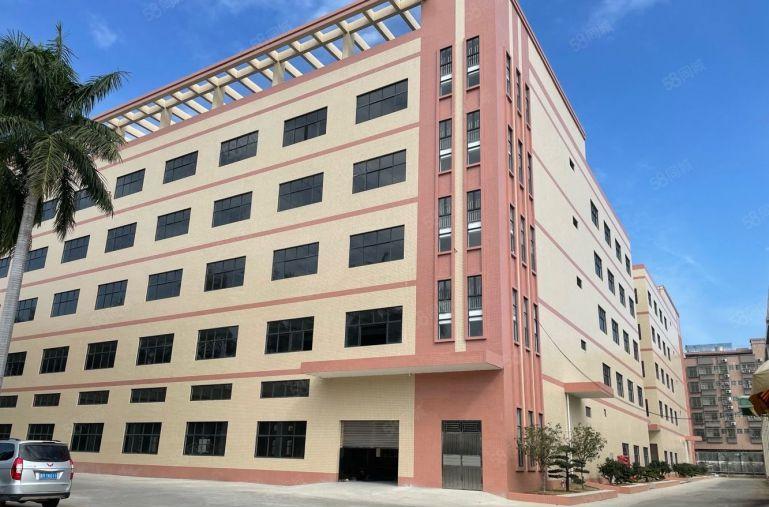 石湾镇全新标准园区厂房出租该园区地段好容易招工空地大