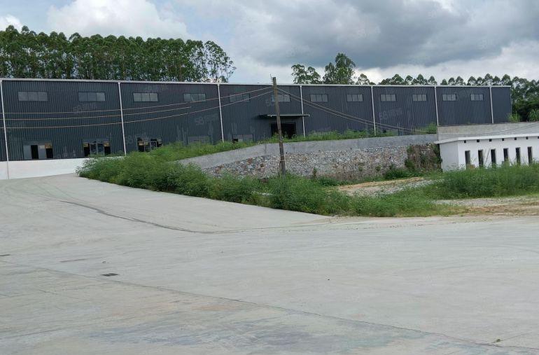 石湾镇单一层厂房出租滴水13米独门独院 分租1000方空地大