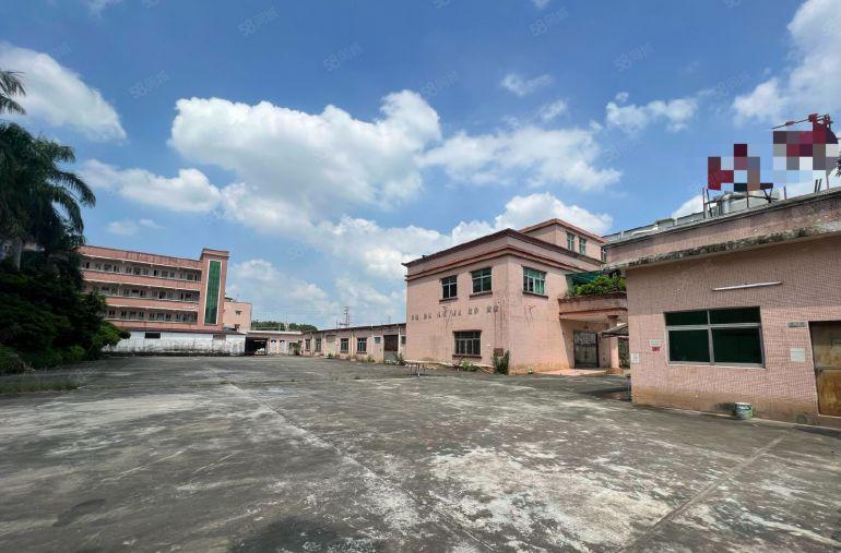园洲镇原房东标准厂房4000平米，宿舍办公800平米出租