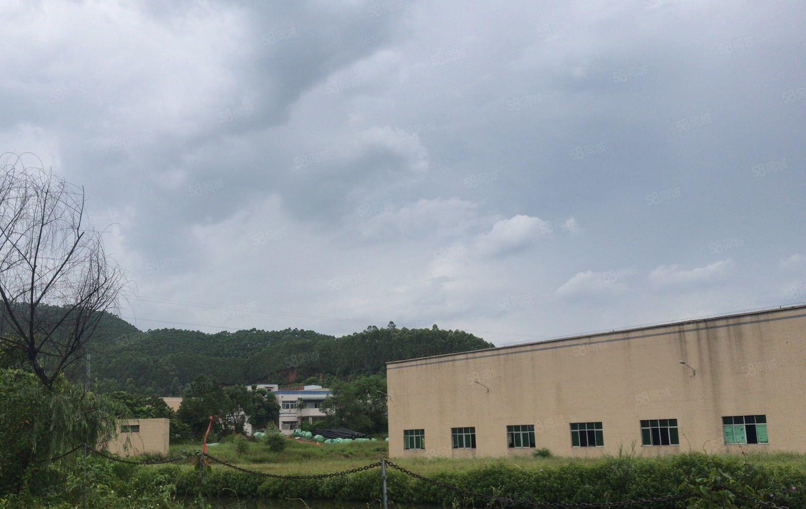 义和镇原房东单一层红本厂房出租