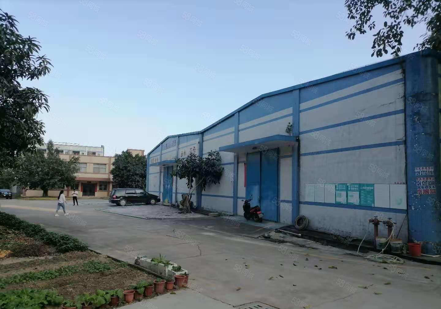 新出！博罗石湾2700独院钢构厂房仓库出租大空地无公摊精装修