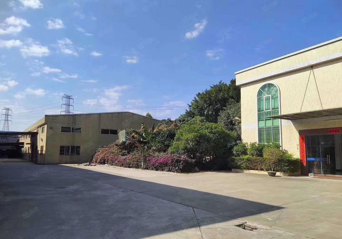 龙溪镇3100平方米滴水8米院砖墙到顶独门独院单一层厂房出租