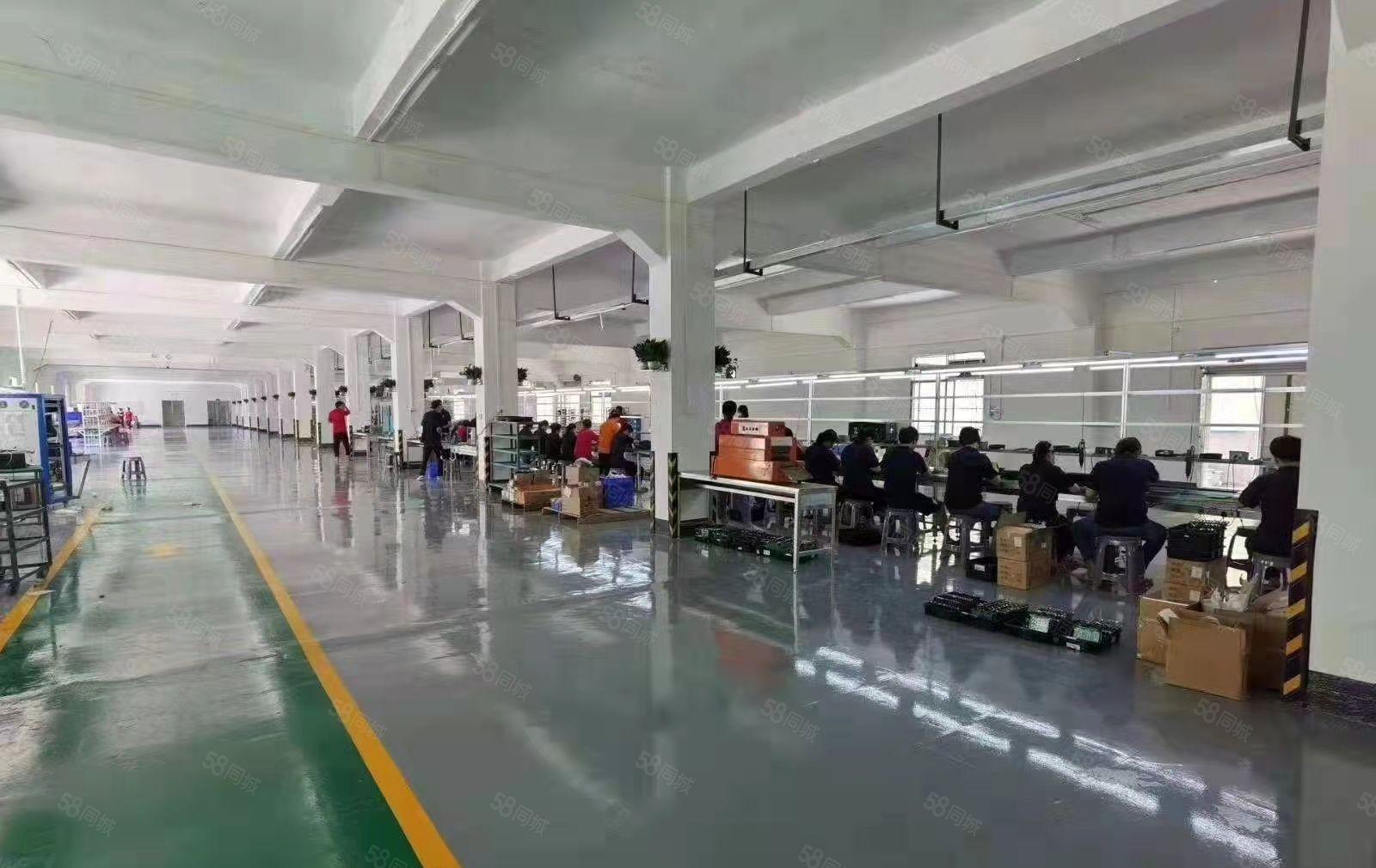 靓！现成装修1楼2800平方，现成地坪漆，国道边红本好办环评