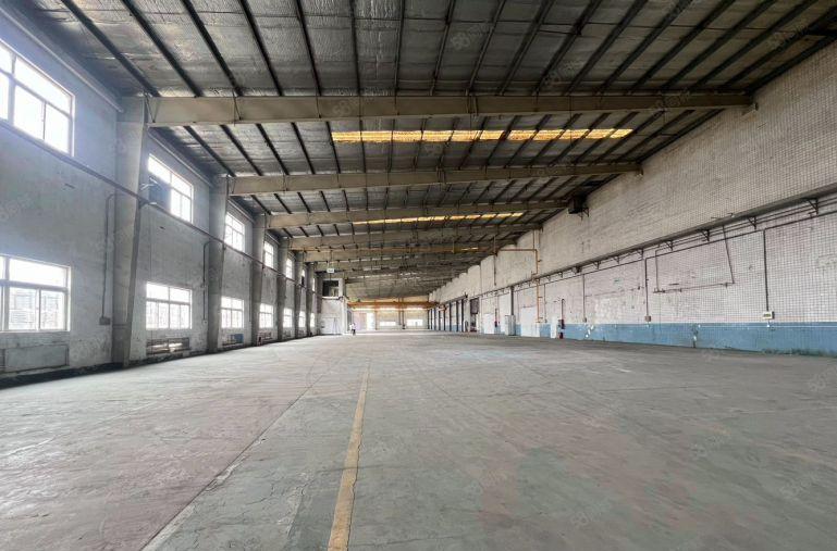 9元独栋！5000平大可分租博罗园洲新出钢构厂房仓库出租空地