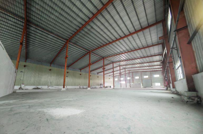 钢结构2500平10米高带牛角红本而且独立变压器