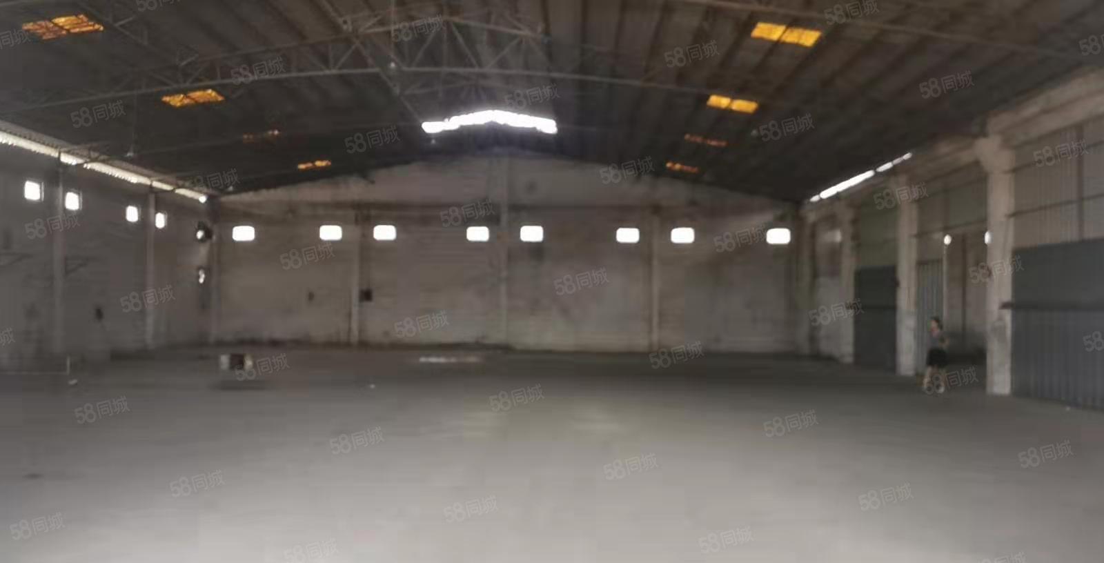 园洲镇原房东独院单一层2000厂房仓库出租出售转让