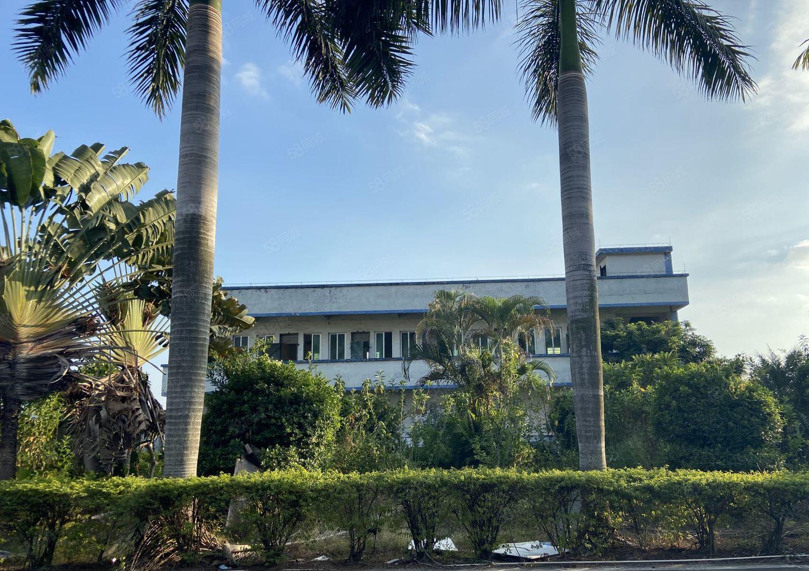 新出原房东独院砖墙带红本单一层4150平方带独立办公楼宿舍