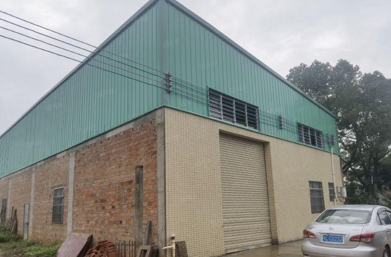 园洲镇多个钢构厂房300平，500平，800平，1000平