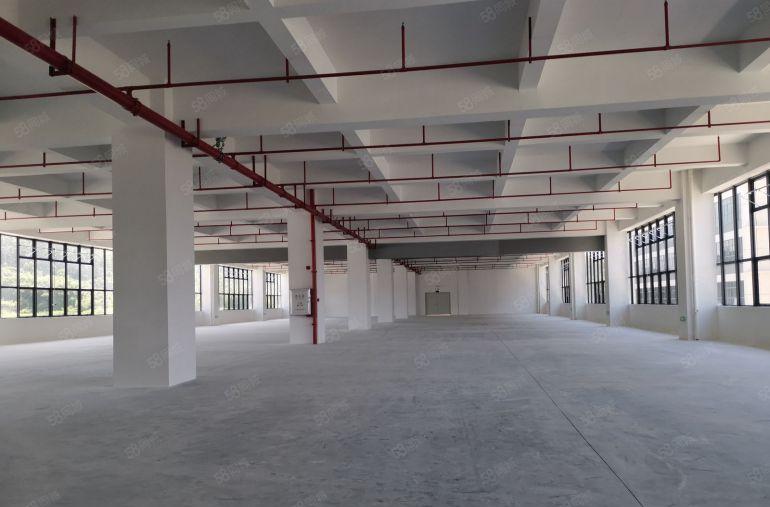 博罗县罗阳厂房出租，工业园区，标准厂房，证件齐全，带卸货平台