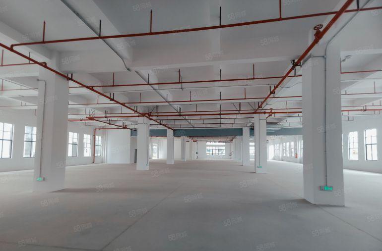 原房东独院厂房20000平方，1000平方起租，低价出租。