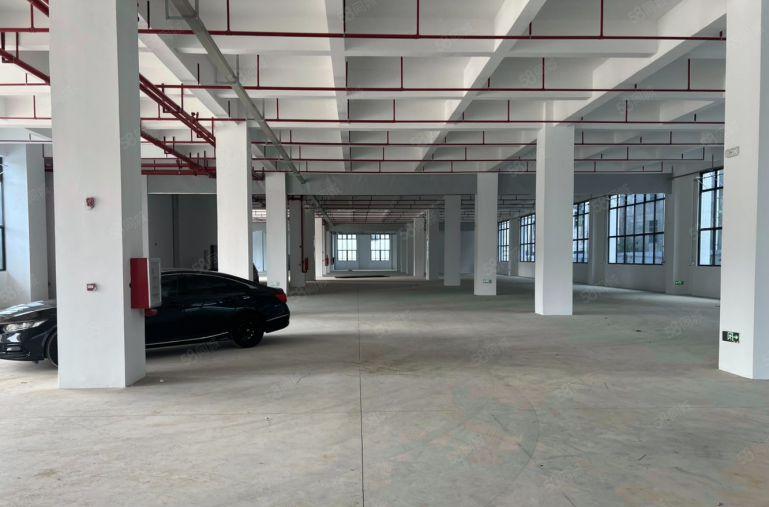 石湾科技园新出标准厂房出租4800平方独门独院带独立办公楼