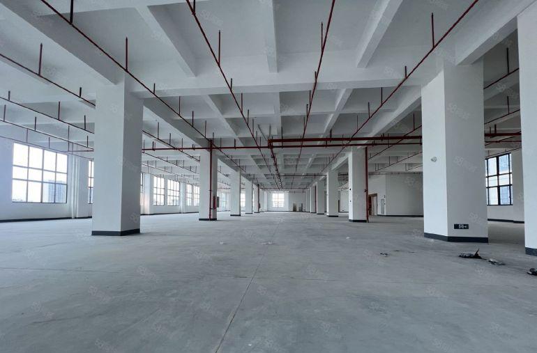 原房东工业园区红本独门独院标准厂房