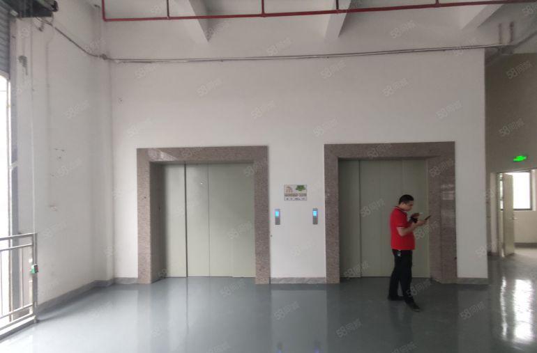 石湾全新工业园新出二楼单层面积4300平方，全新地坪漆出租。