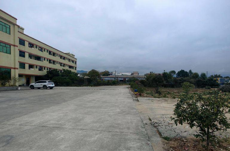 石湾镇原房东标准楼房5300平米，宿舍800平米