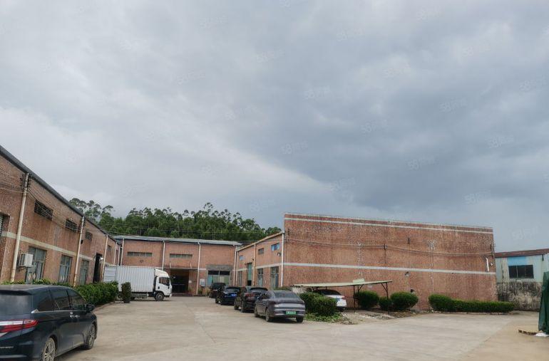 龙溪原房东厂房出租，独院砖墙到顶单一层钢结构，滴水七米