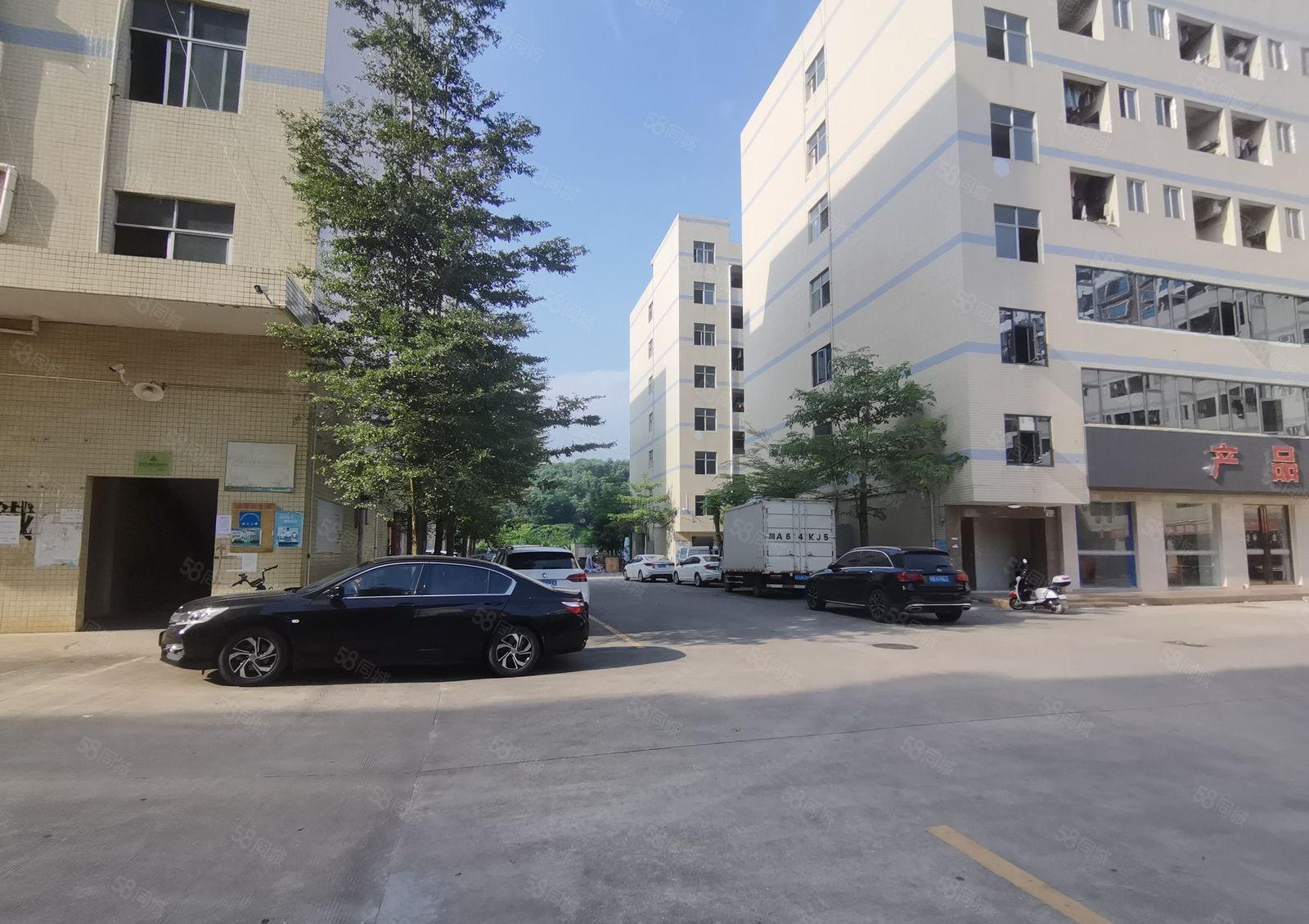 圆洲上南工业区楼上2000平厂房仓库出租原房东10元起可分租