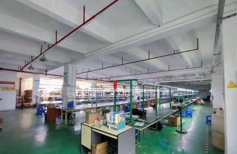 博罗园洲8元红本厂房精装修办公室地坪漆500平起原房东出租