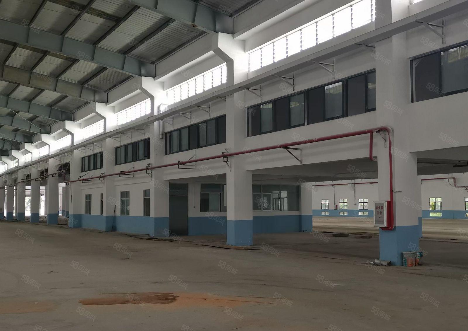 园洲镇工业区2万平方单层厂房出租，可办环评，空地大