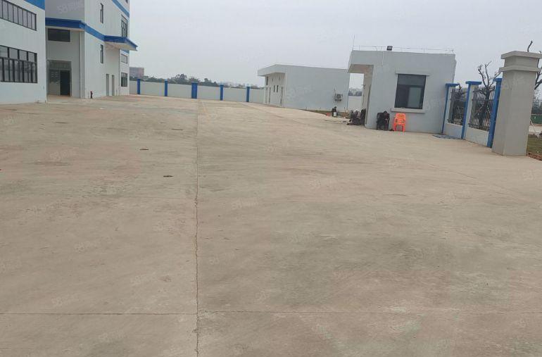 园洲镇原房东独门独院标准厂房出租，国土证红本厂房，实际面积租