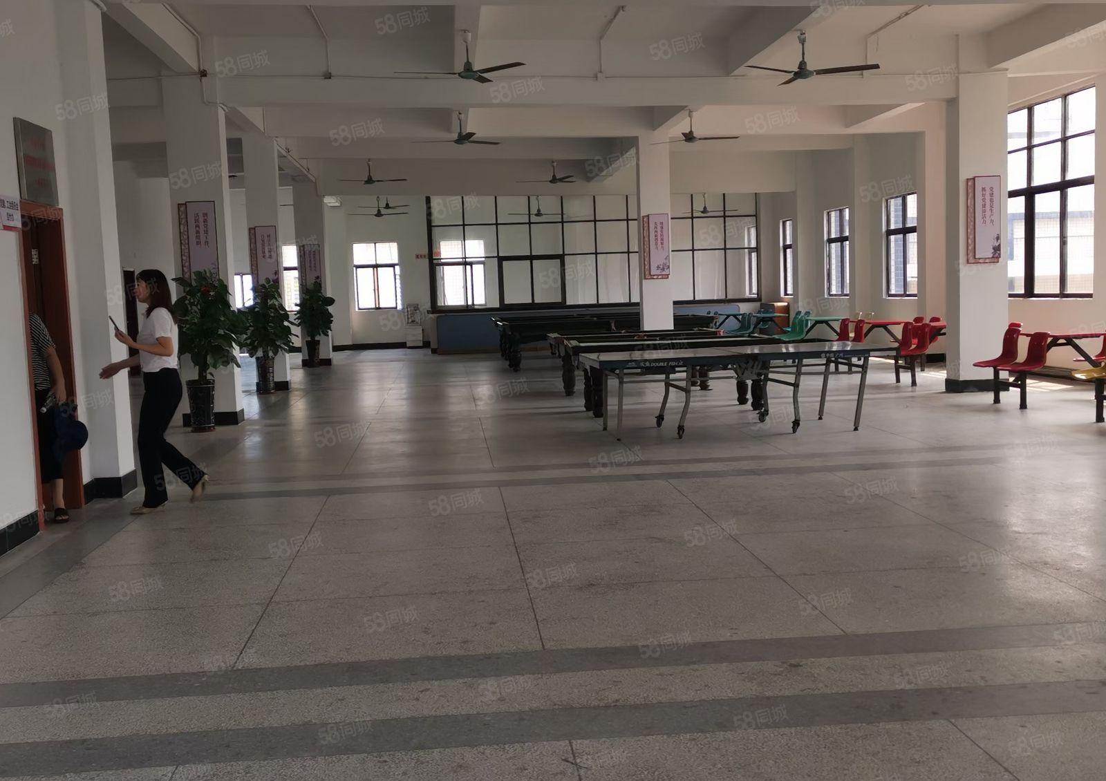 园洲镇工业区2万平方单层厂房出租，可办环评，空地大