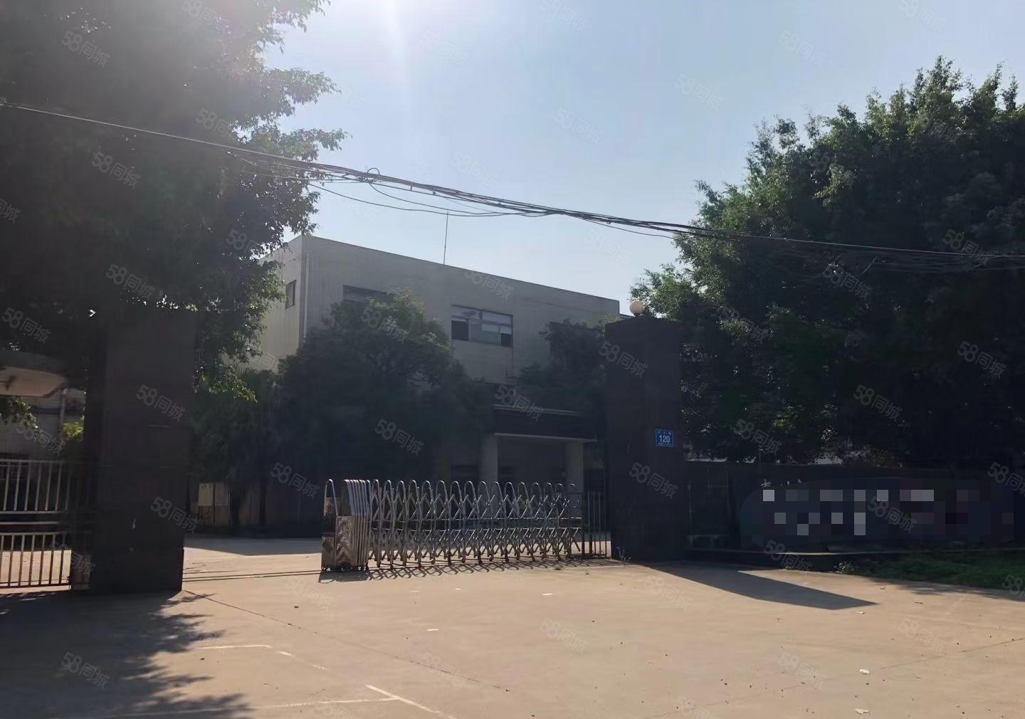 原房东花园式独院厂房出租6000平方，现成装修，可办环评。