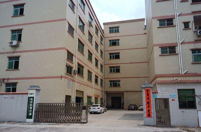 园洲镇！园洲大道边上工业园区一楼厂房出租！滴水6米！