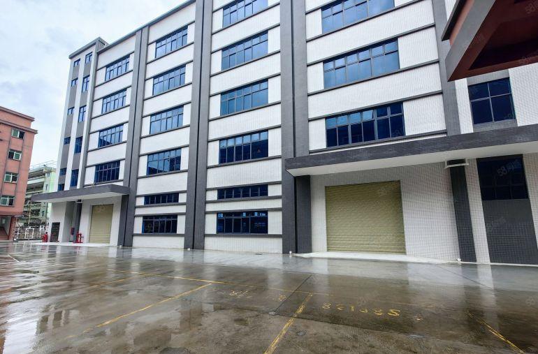 园洲原房东标准楼房5000平米，宿舍900平米出租