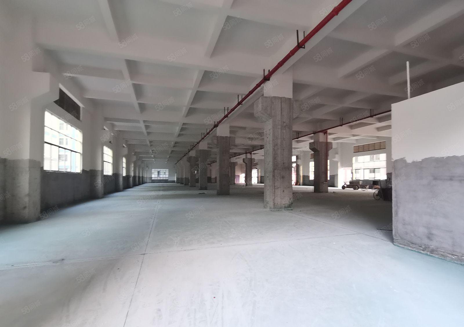 博罗板桥工业区原房东3千平独栋一楼仓库厂房出租可分租可办环评