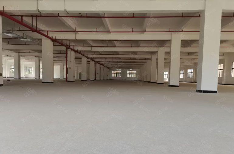 石湾镇原房东红本双证标准厂房36000平方，低价出租。