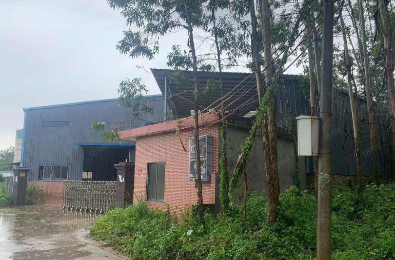 博罗龙溪独门独院钢结构厂房2000平方，滴水9米高带隔热层