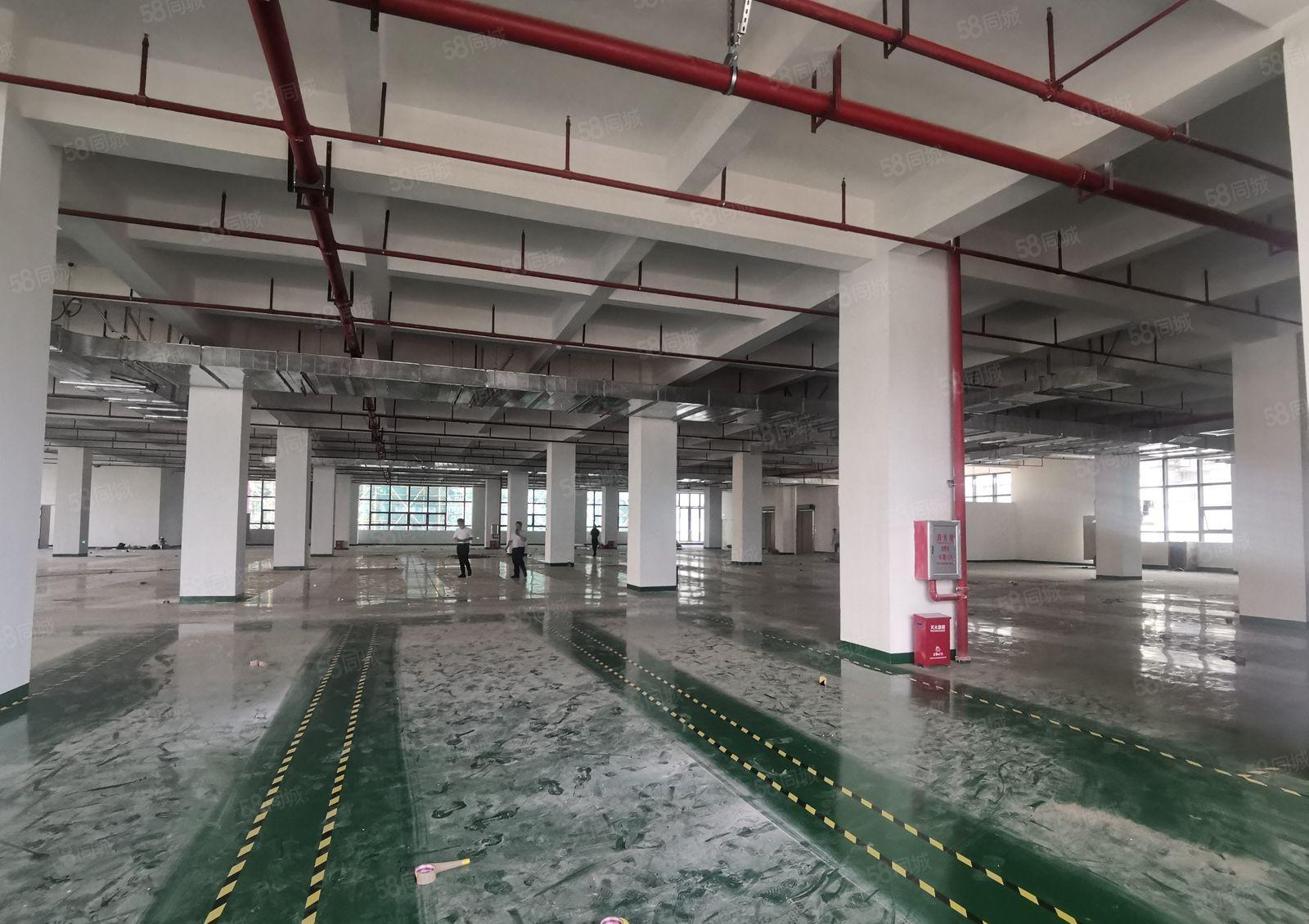 500平起博罗石湾科技园2万平厂房出租带环评一楼6米精选仓库